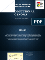 Maestría en biología y genética molecular: Genoma