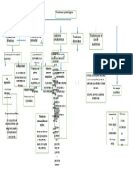 Mapa Conceptual de Criz