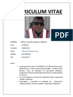 Curriculum Vitae