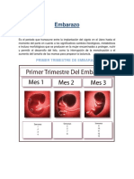 428302291-Primer-Trimestre-de-EmbarazoO