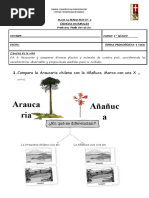 Animales y Plantas Nativas