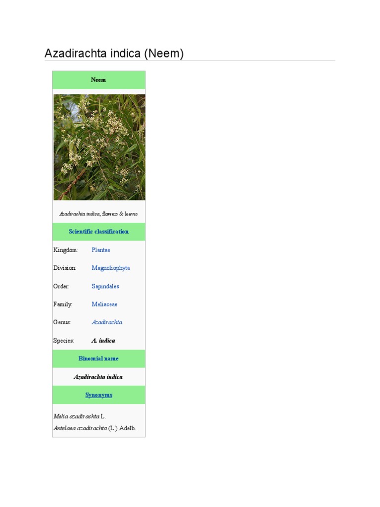 Azadirachta Indica (Neem) : Scientific Classification | PDF ...