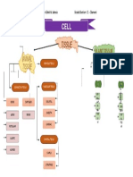 Concept Map - HISTOLOGY