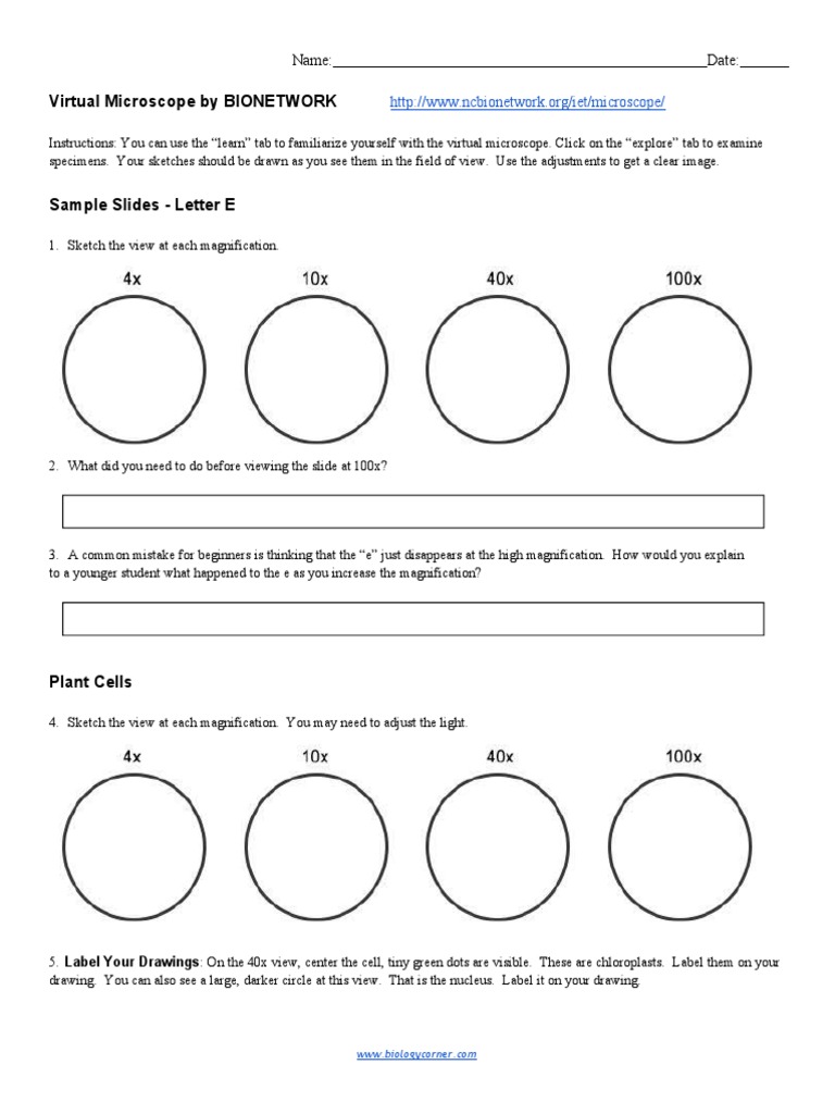 BIONETWORK Virtual Microscope Guide | PDF | White Blood Cell | Microscope