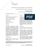 Dialnet-SistemasDeDominioOriginarioDeLosYacimientos-5392834