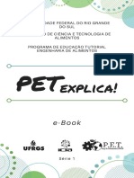 E-Book PET 2020