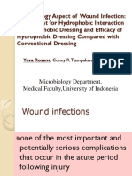 1. Wound IARW2013 Yeva