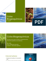 Ciclos Biogeoquímicos