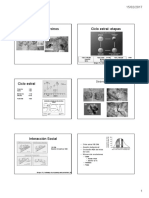 Fisiologia Ciclo Estral Porcinos