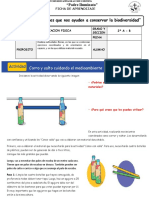 Ficha Ed Fisica III Ciclo