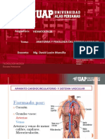 3 Anatomia y Fisiiologia Del Sistema Vascular- Hematologia