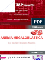 6 Anemia Megaloblastica - Hematologia