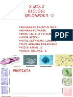 Peranan Protista