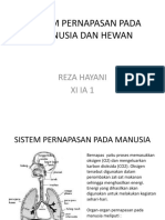 Bab 2 Sistem Pernapasan Pada Manusia Dan Hewan