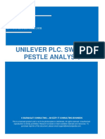 Unilever s&p Analysis Report s2
