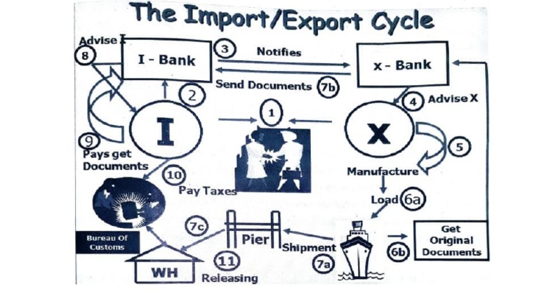 Export Import Cycle _ Importin α: functions as a nuclear transport ...