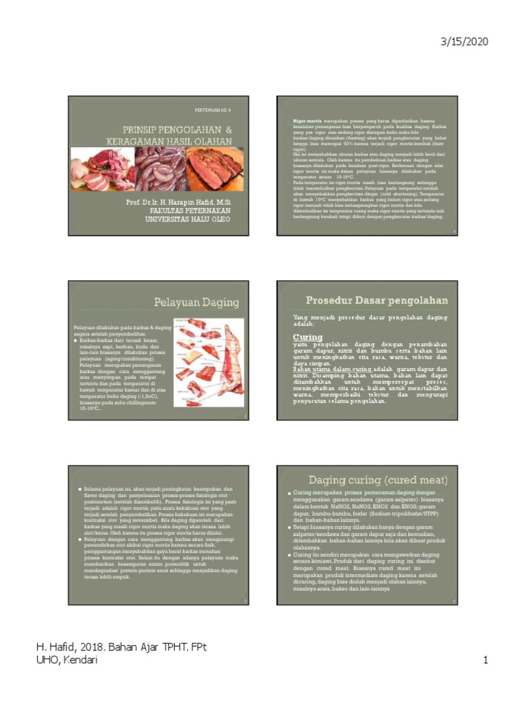 Pelayuan & Curing Daging: Proses dan Manfaat | PDF