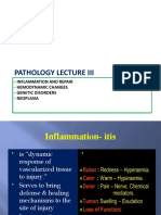 Pathology Lecture Iii: - Inflammation and Repair - Hemodynamic Changes - Genetic Disorders - Neoplasia