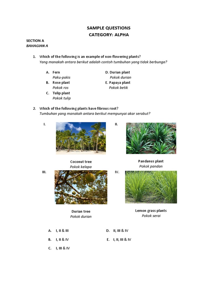 Alpha Sample Questions | PDF | Botany | Plants