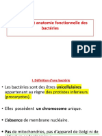 01-Structure Et Anatomie Dentaire