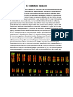 El Cariotipo Es Un Esquema