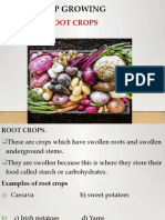 Topic: Crop Growing: Sub Topic: Root Crops