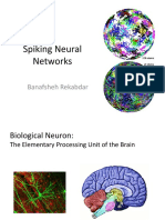 Spiking Neural Networks: Banafsheh Rekabdar