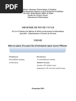 rapport fin