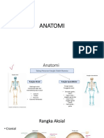 Anatomi Orthopedi Infeksi
