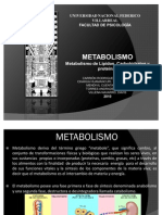  metabolismo de lipidos