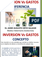 Diferencia Entre Gasto e Inversion