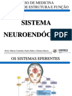 Sistema eferentes - o neuroendocrino