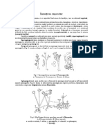 inmultirea