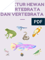 Struktur Hewan Avertebrata Dan Vertebrata