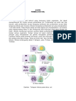 Pembelahan Sel - Petunjuk - Biodas - 2021