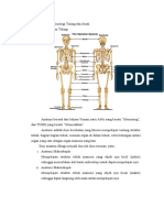 Anatomi Fisiologi 