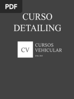 Curso Detailing