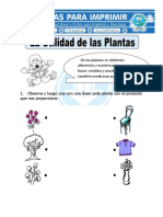 Ficha de Utilidad de Las Plantas para Primaria