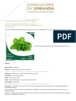 Admiradores Da UmbandaHORTELÃ, HORTELA, MENTHA, - Admiradores Da Umbanda