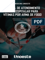 E-book Aph Arma de Fogo