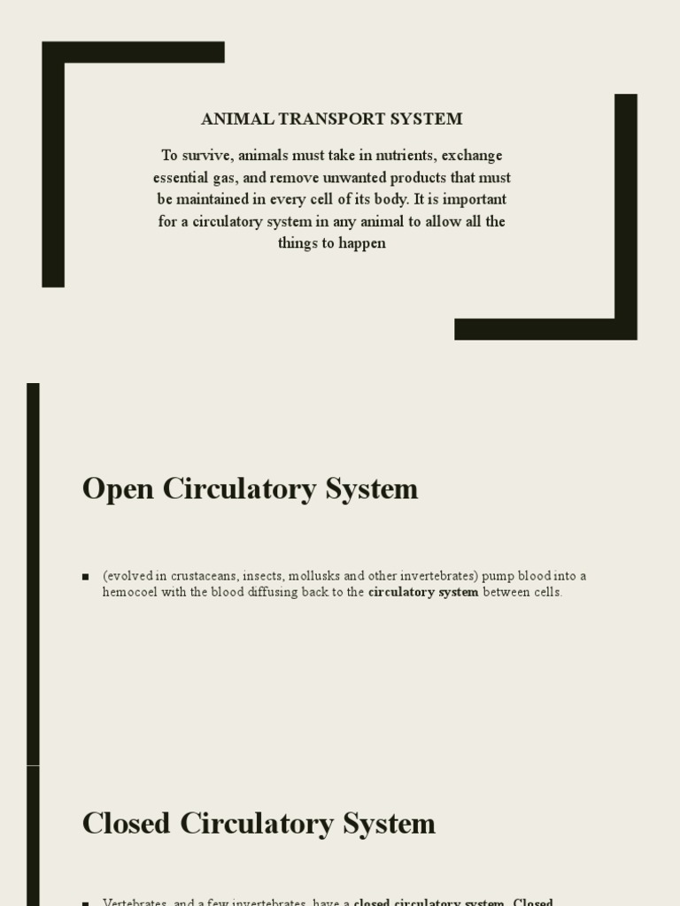 Animal Transport System PDF Circulatory System Blood