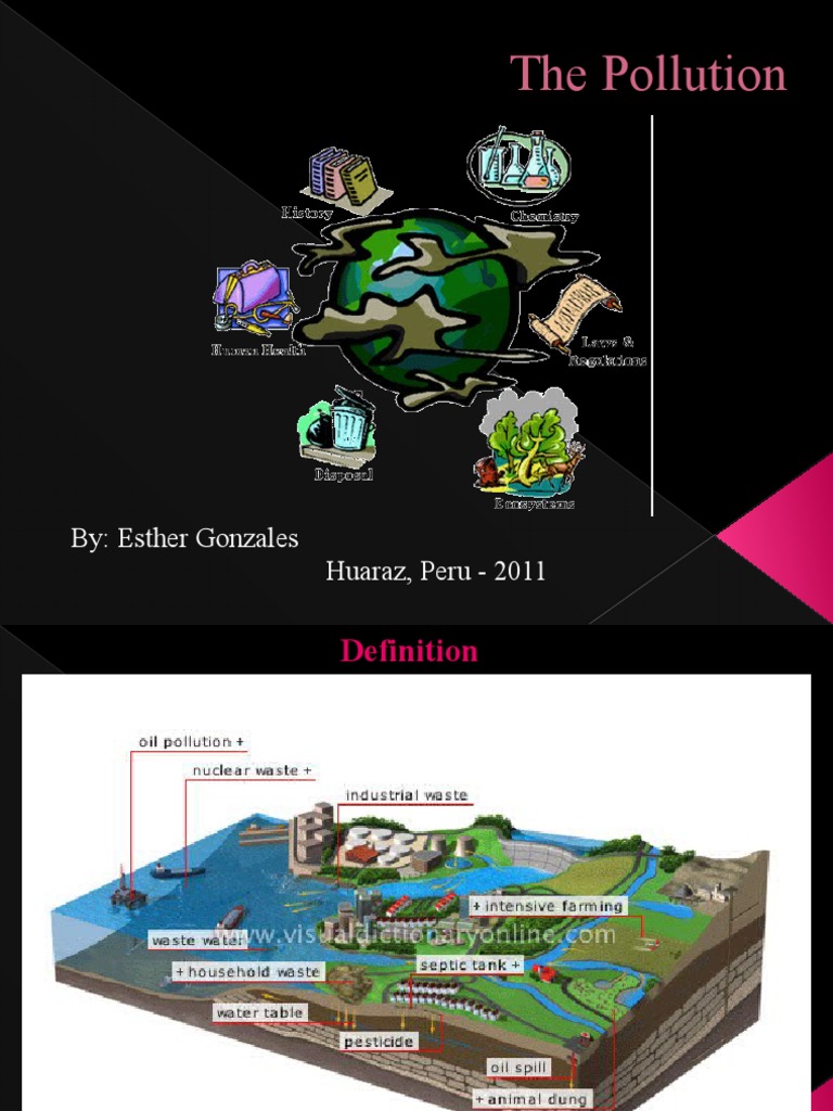 Types and Effects of Pollution | PDF