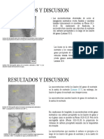 Resultados y Discusion