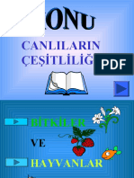 s1 Canlilarincesitliligi