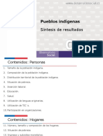 Pueblos indígenas Chile datos población