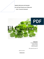 El Cilantro