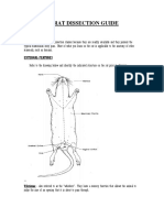 Uace Biology Rat Dissection Guide