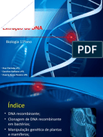 Apresentação DNA biologia 2