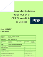 Proyecto TIC 2006 07