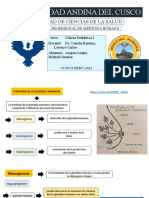 Exposicion de Lactancia Materna Final